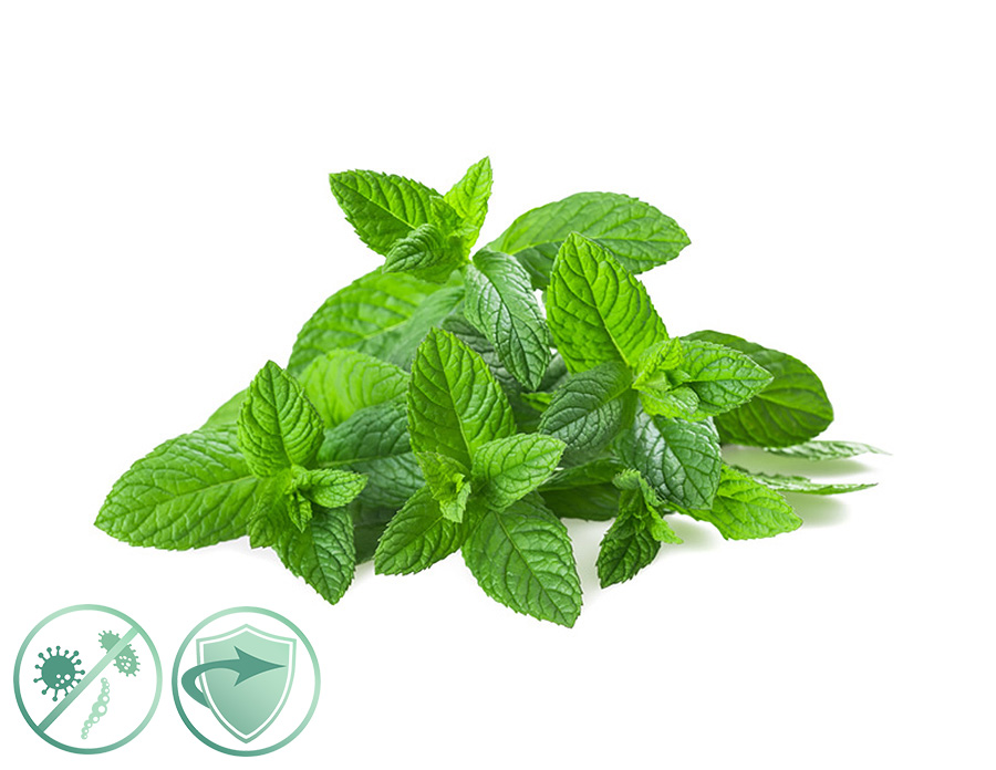 Mint Fresh - dezinfekčný aroma olej 200ml New Aroma