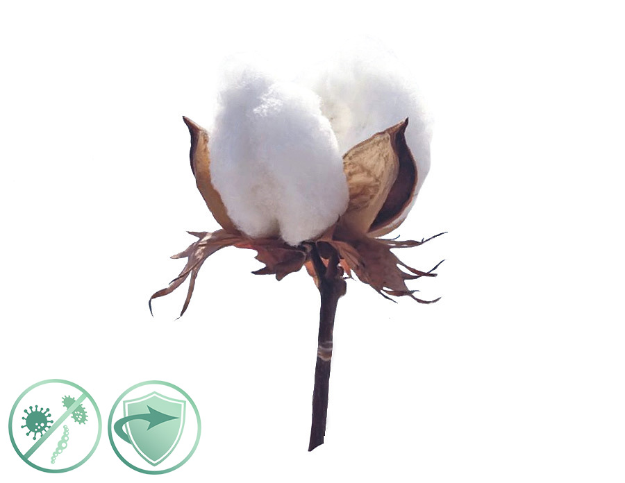 Soft Cotton – dezinfekčný aroma olej 200ml